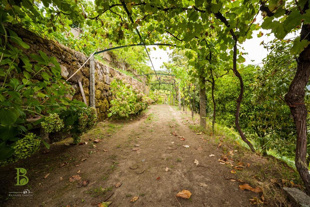 Quinta Da Bouca - Agroturismo Pacos de Gaiolo Cameră foto