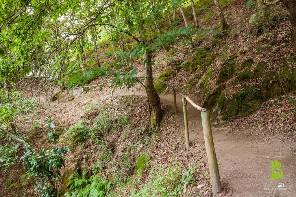 Quinta Da Bouca - Agroturismo Pacos de Gaiolo Cameră foto