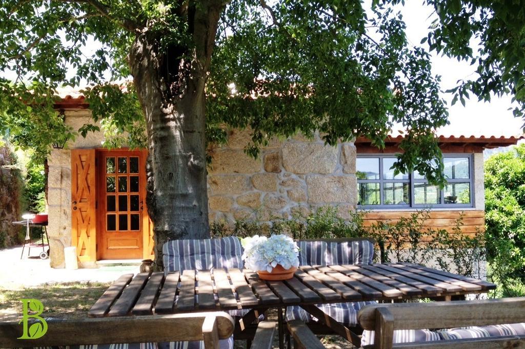 Quinta Da Bouca - Agroturismo Pacos de Gaiolo Cameră foto
